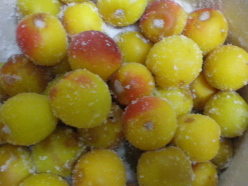 f0007580_2236123.jpg