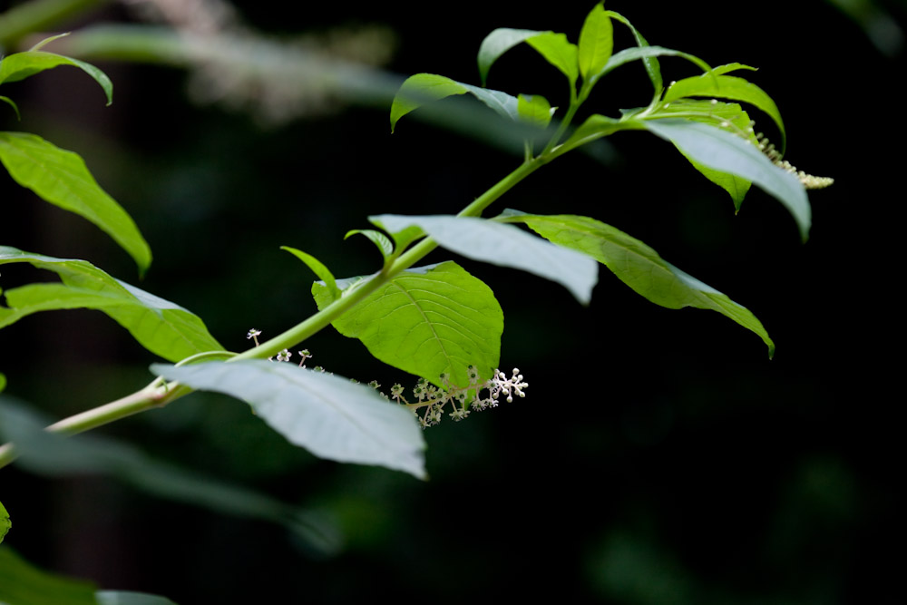a0083081_16584817.jpg