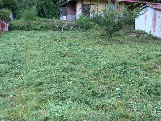 b0042882_23273654.jpg