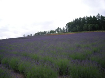 c0111882_11113951.jpg