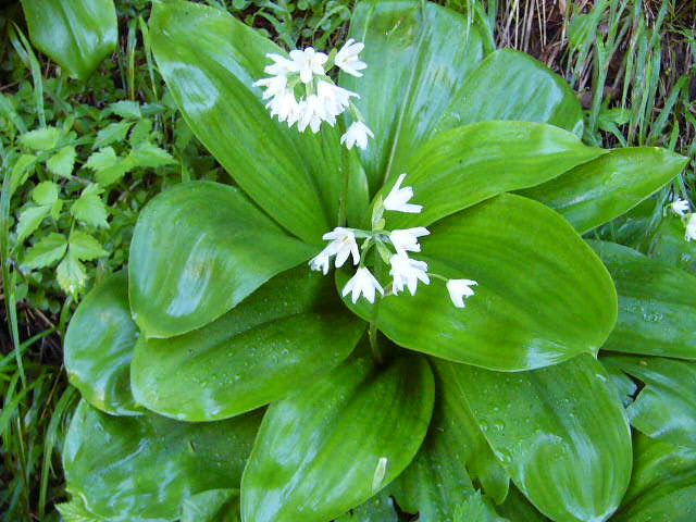e0145782_200234.jpg