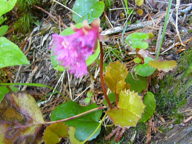 e0145782_2012979.jpg