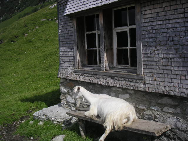 c0188086_7365031.jpg
