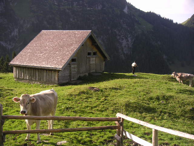 c0188086_7374756.jpg