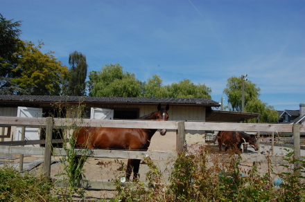 d0129786_16423949.jpg