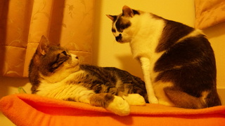 c0124488_1772023.jpg