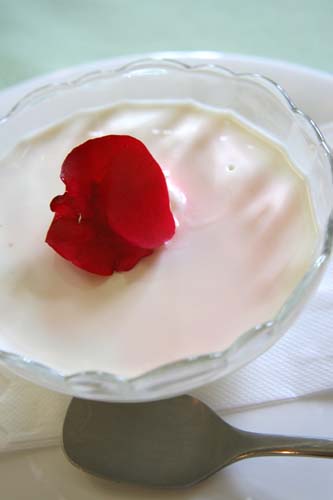 e0177190_23412827.jpg