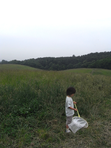 e0072091_232738.jpg