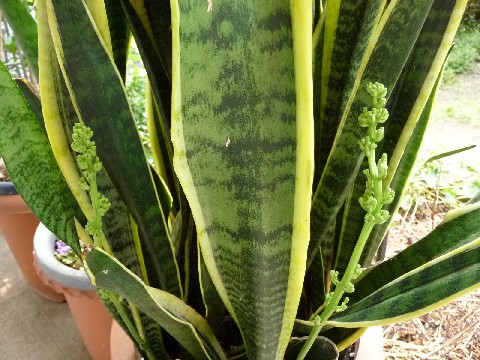 c0108693_21285626.jpg
