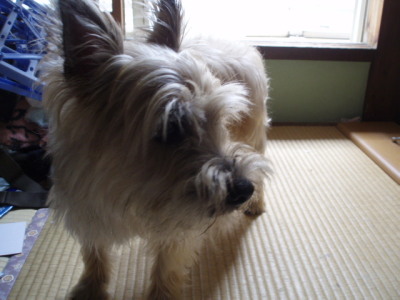 c0086895_12101799.jpg