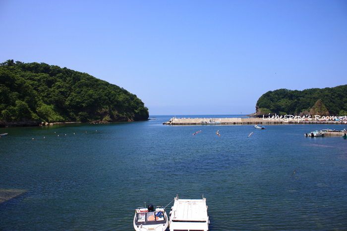f0001895_1755612.jpg