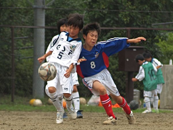 b0005596_67382.jpg