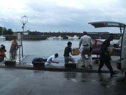 f0048405_12573154.jpg