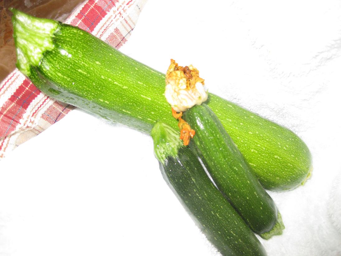 f0179209_14454566.jpg