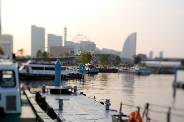 b0150811_147459.jpg