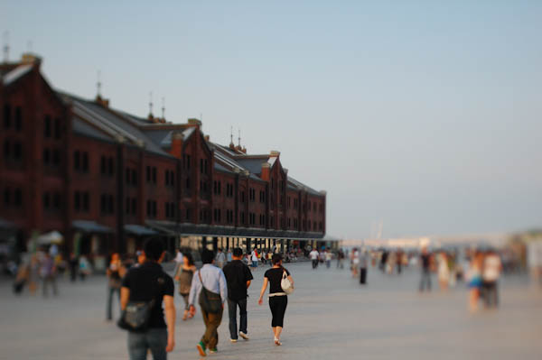 b0150811_1562528.jpg
