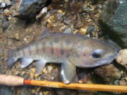 f0079411_203734.jpg