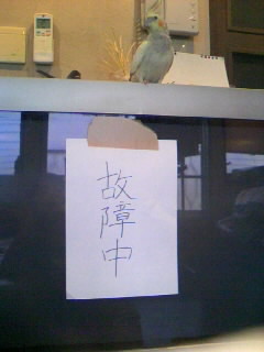 c0133013_18581751.jpg