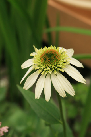 e0102713_1345347.jpg