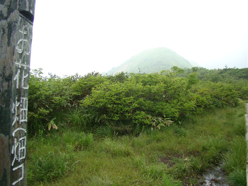a0127015_21294485.jpg
