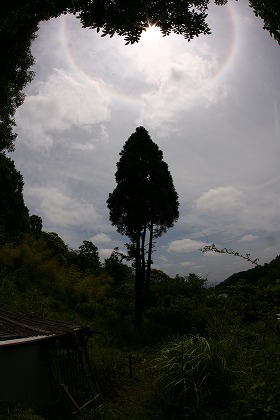 a0125419_1021146.jpg
