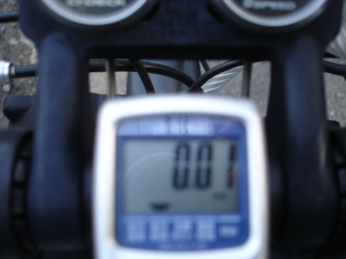 e0003819_1353638.jpg
