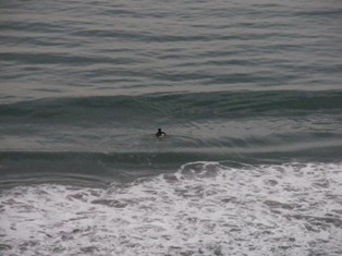 b0174020_21184330.jpg