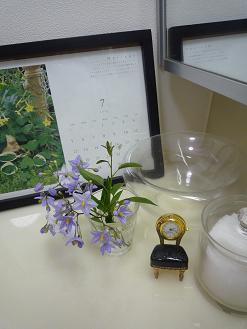 f0150620_15205633.jpg