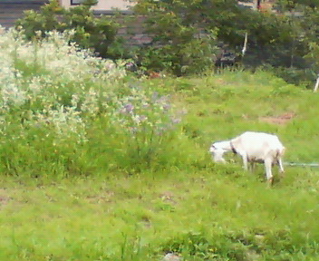 f0036223_2032183.jpg