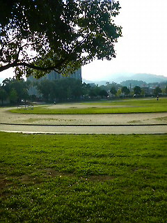 d0017924_1056466.jpg