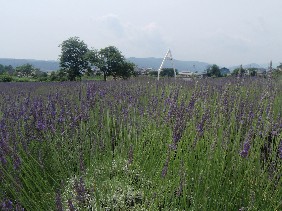 f0022024_23524211.jpg