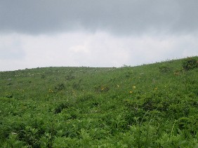 f0022024_23531882.jpg