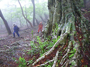 d0023725_10274370.jpg