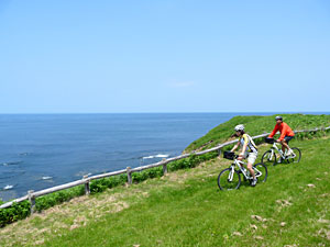 d0023725_1041599.jpg