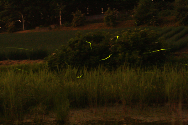 e0055626_0111443.jpg