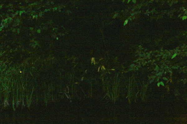 e0055626_0242215.jpg