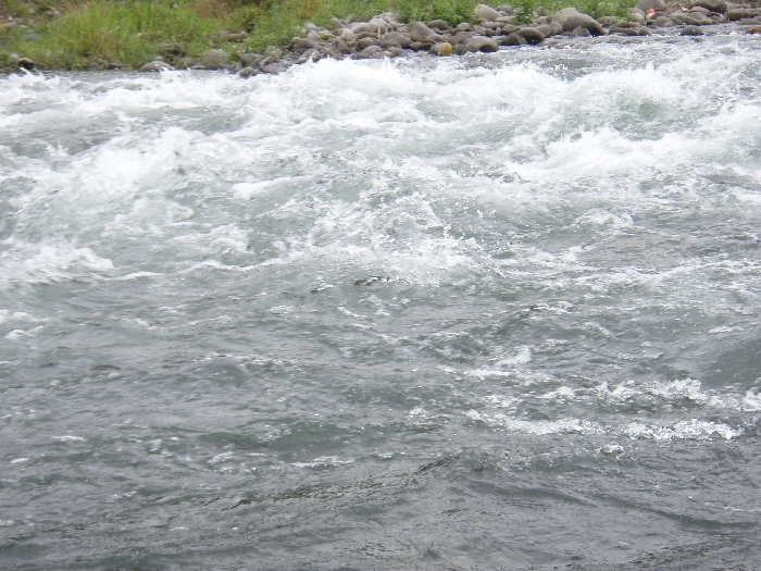f0103126_236250.jpg