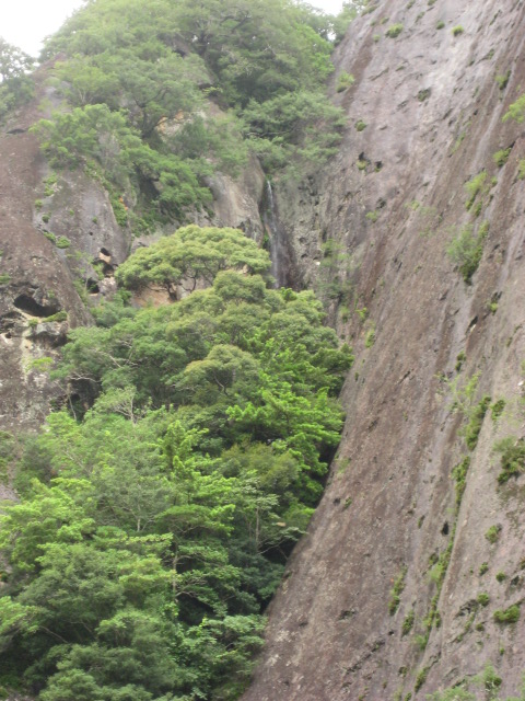 d0147727_2032445.jpg