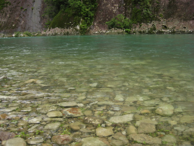 d0147727_2036475.jpg