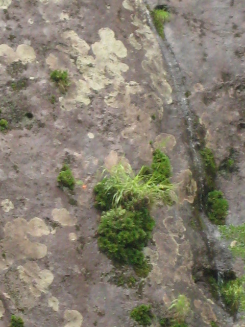 d0147727_2042383.jpg