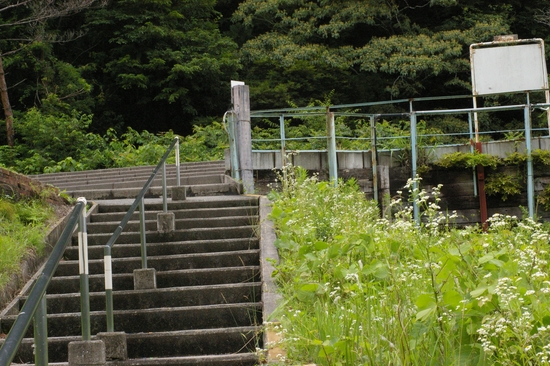 c0080132_847304.jpg