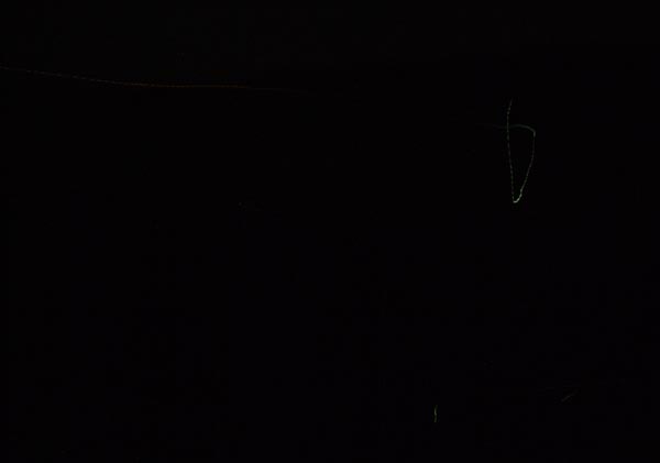 c0000134_186472.jpg