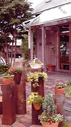 b0157942_20481418.jpg