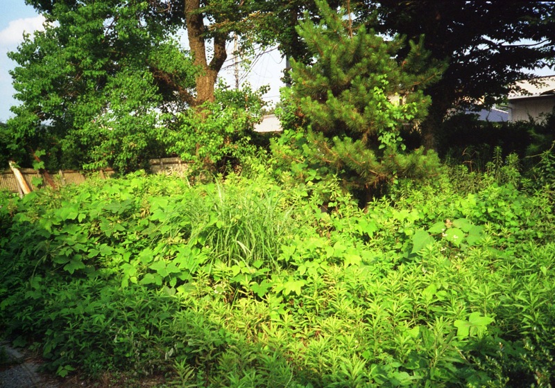 d0089742_041435.jpg