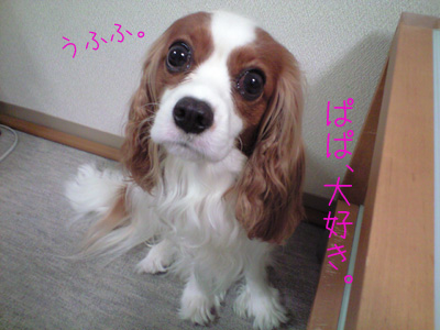 a0120944_1232135.jpg