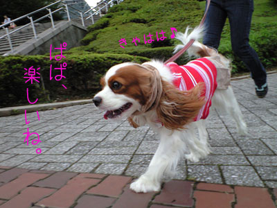 a0120944_12322229.jpg