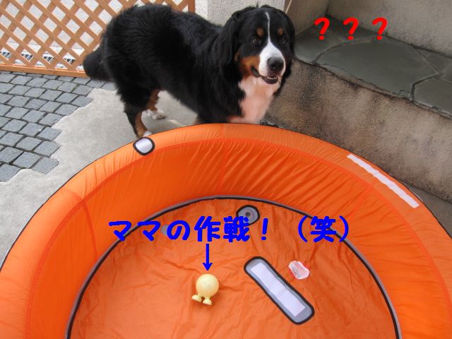 a0108146_1953650.jpg