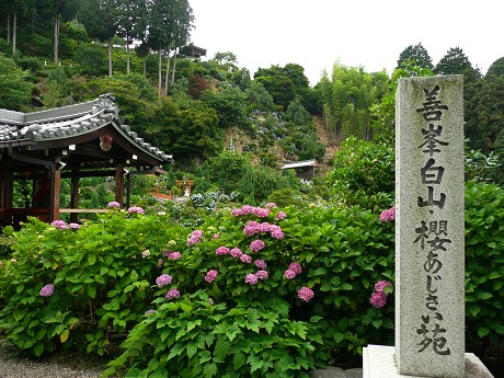 c0057946_2316230.jpg