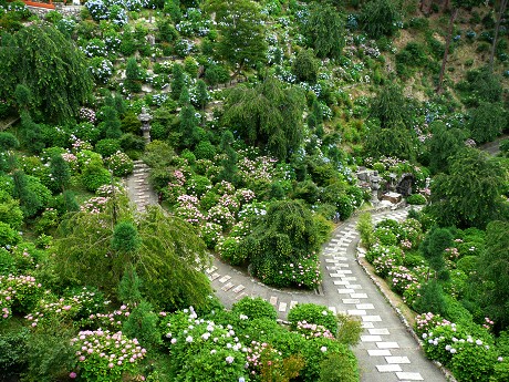 c0057946_2317165.jpg