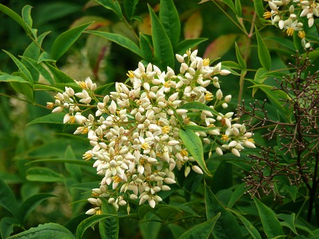 c0057946_23275386.jpg